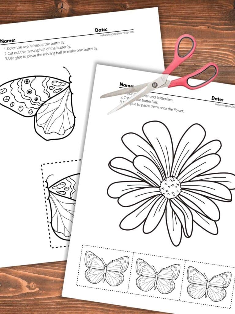 Free cut and paste worksheets