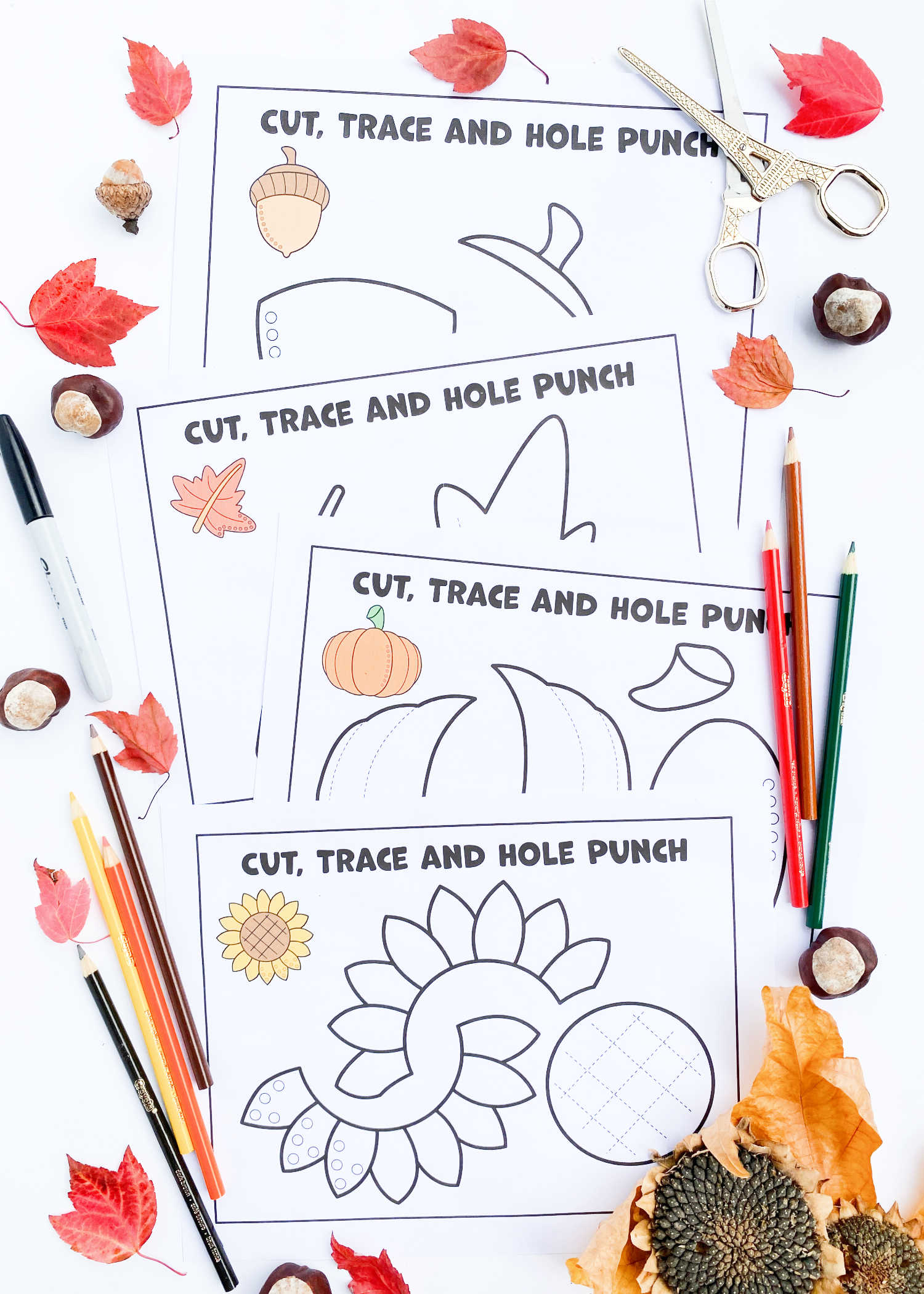 Free fall activity pages coloring cut paste