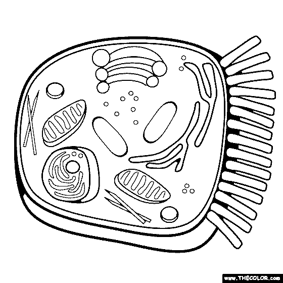 Anial cell coloring page
