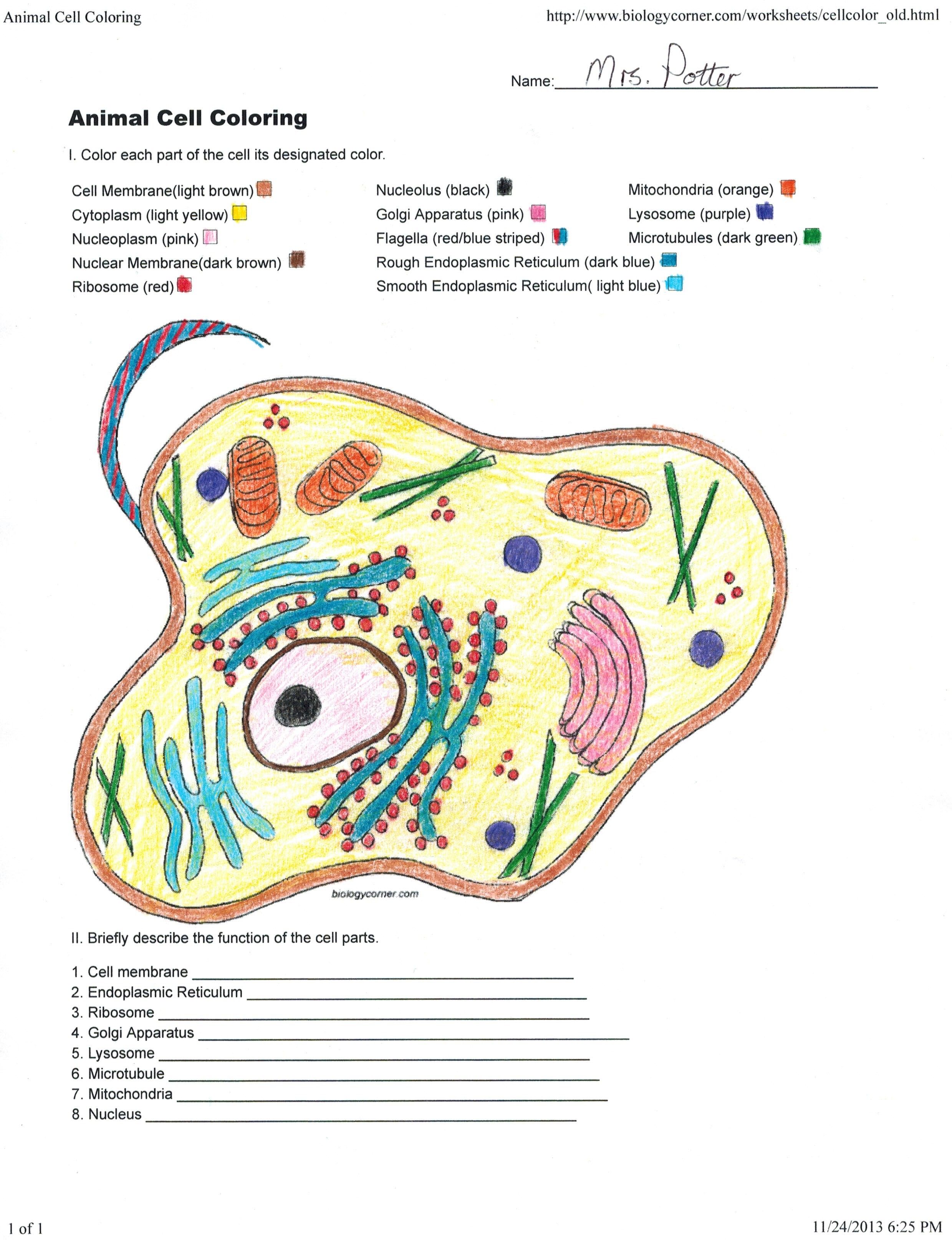 Biologycorner animal cell coloring â through the thousands of photos on the internet with regâ cells worksheet animal cells worksheet plant and animal cells