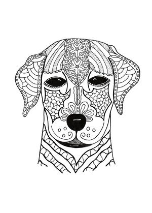 Printable animal coloring pages pdf downloads