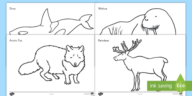 Arctic animals loring sheets