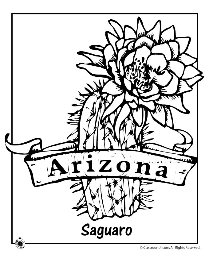 Arizona state flower coloring page flower coloring pages coloring pages arizona