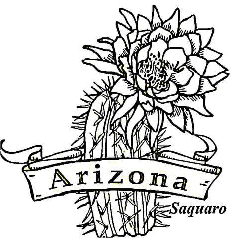 Arizona coloring page free printable coloring pages
