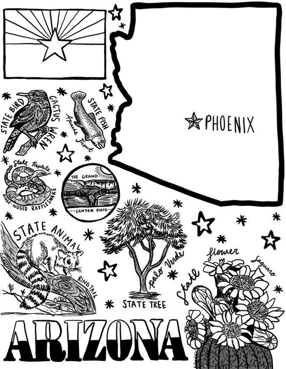 Arizona coloring page download now