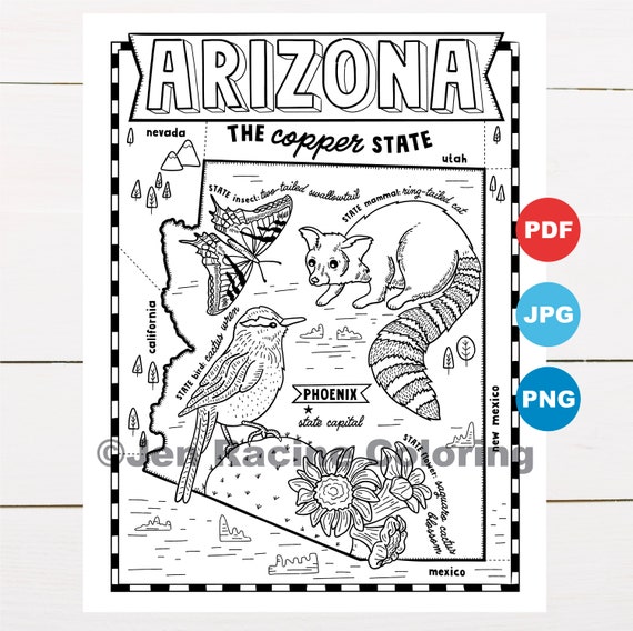 Arizona coloring page united states state map wildlife state symbols flowers coloring pages