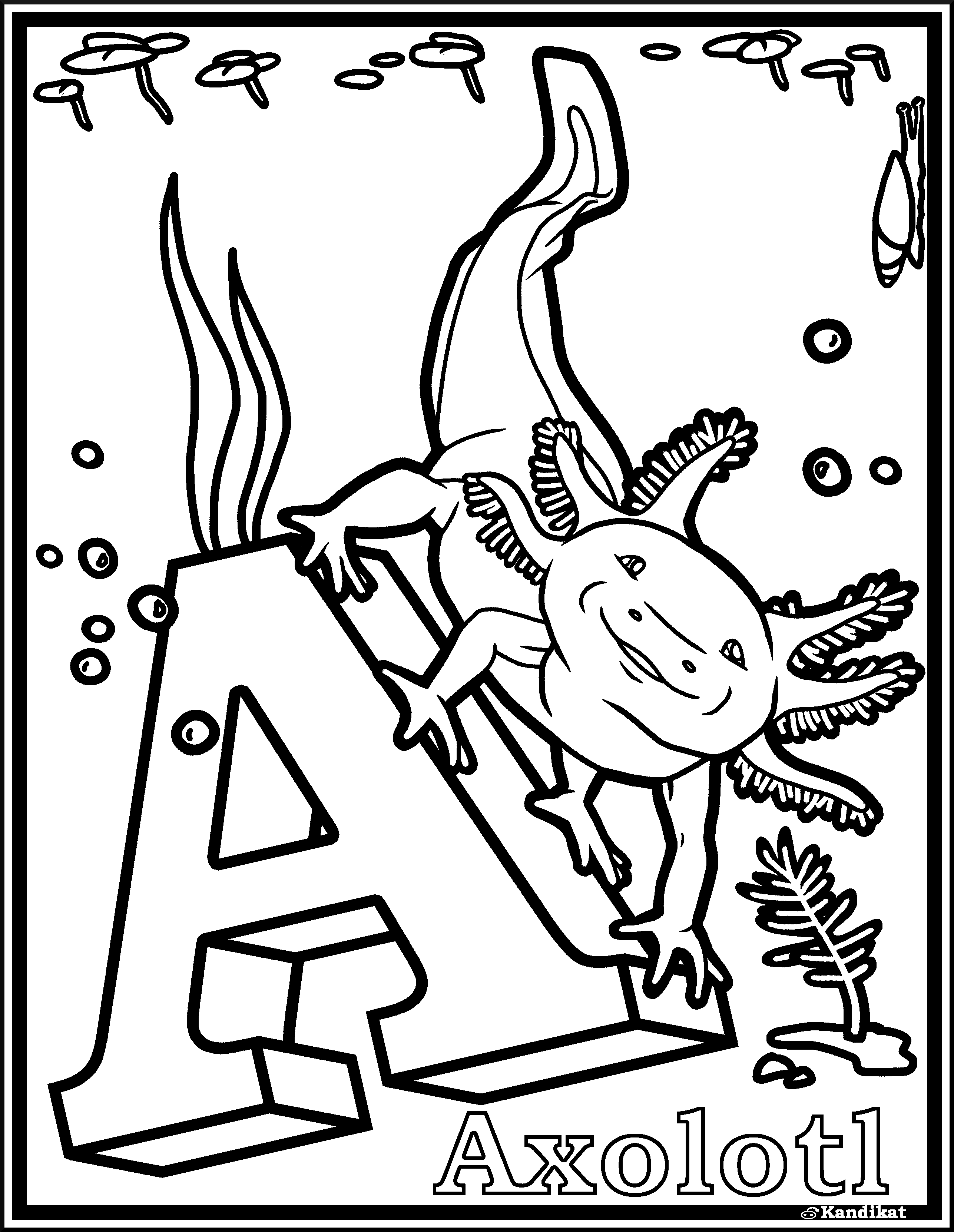 A is for axolotl coloring page i drew for yall raxolotls