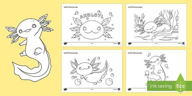 Axolotl louring pages teacher made