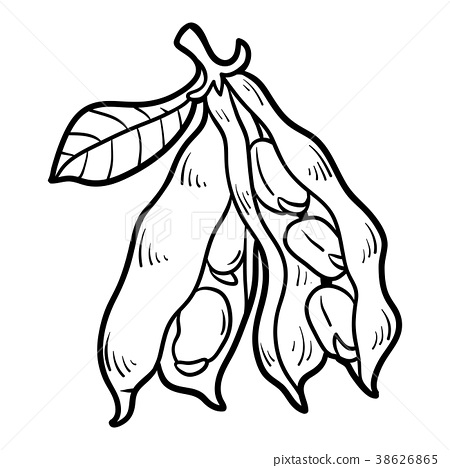Coloring book broad beans