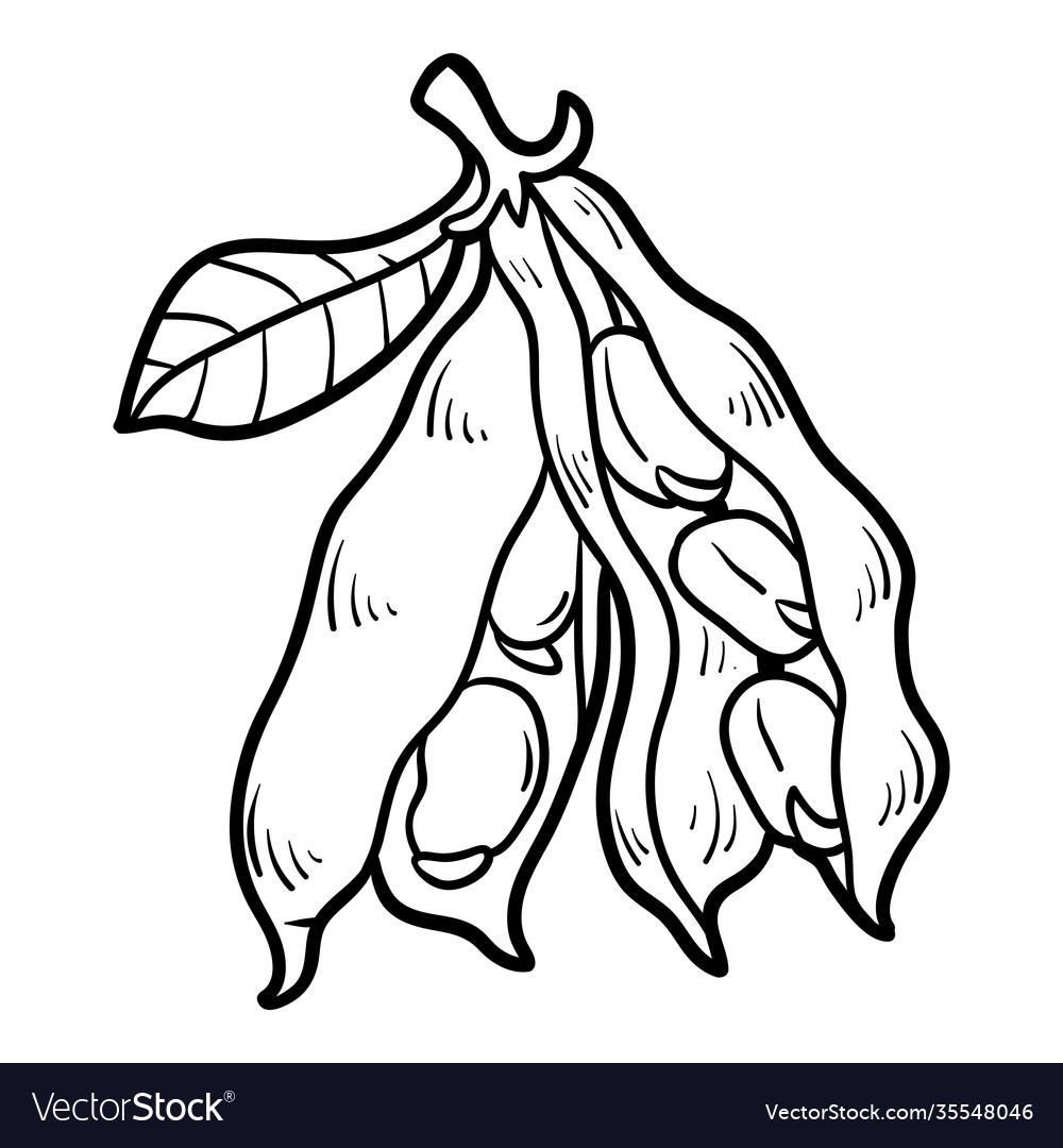 Coloring book broad beans royalty free vector image