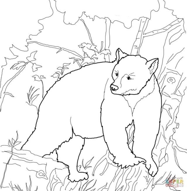 Wonderful image of bear coloring pages
