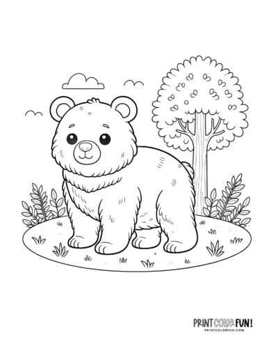 Explore the wild with bear clipart coloring plus engaging activities for kids at
