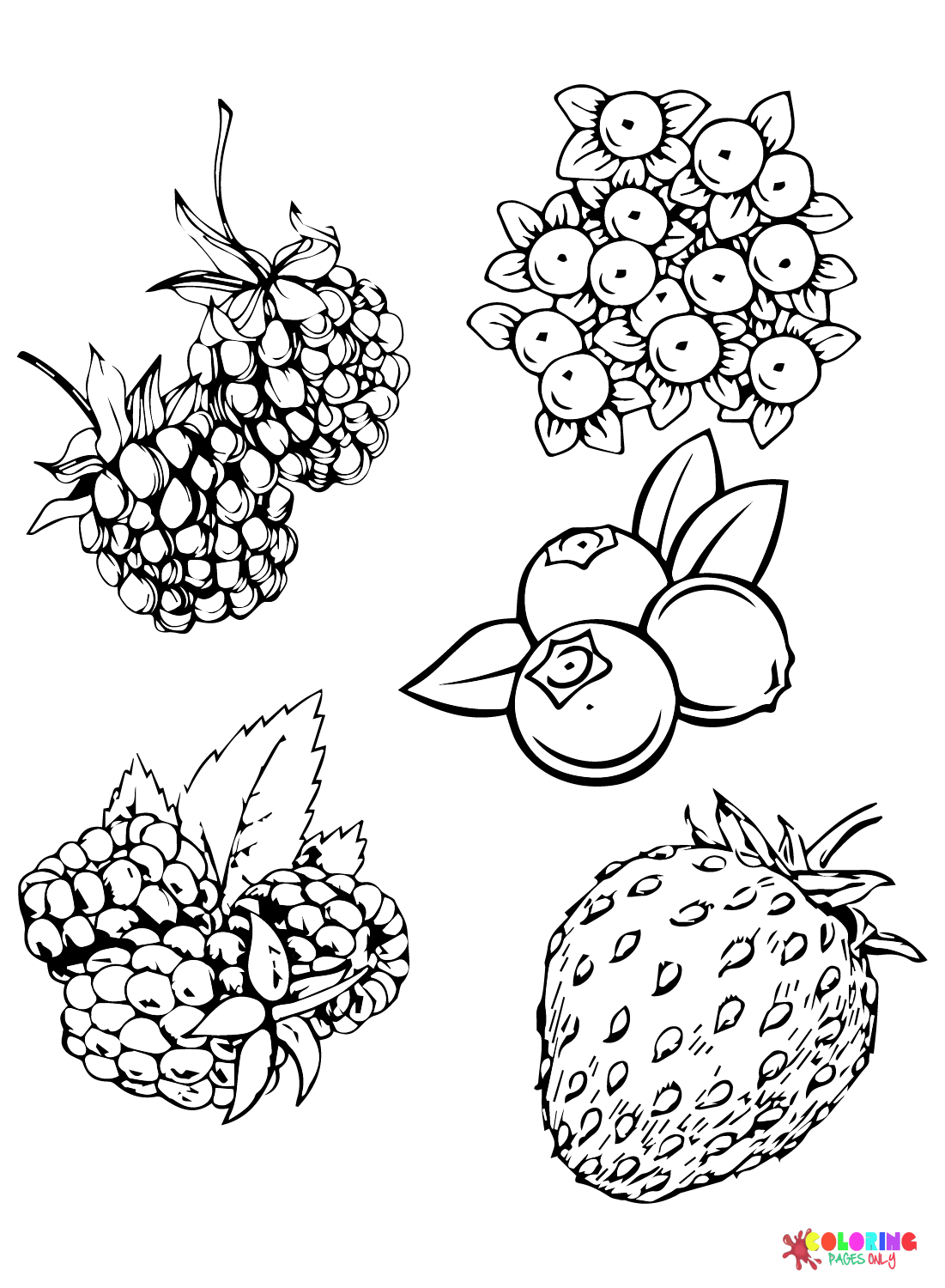 Berries coloring pages printable for free download