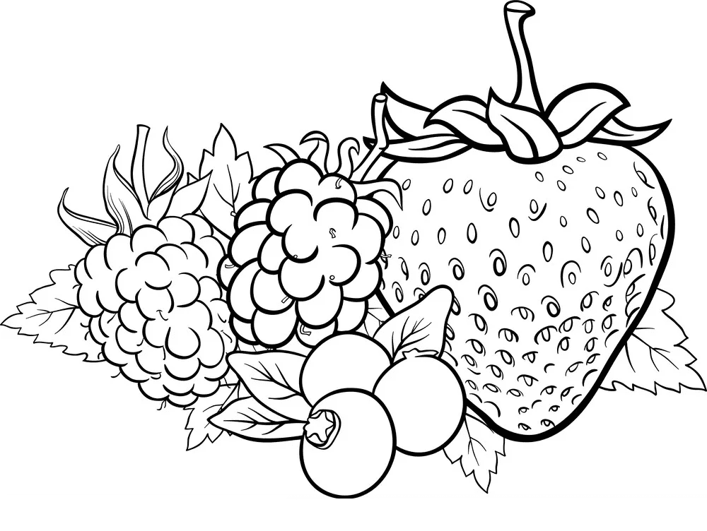 Berries coloring pages printable for free download