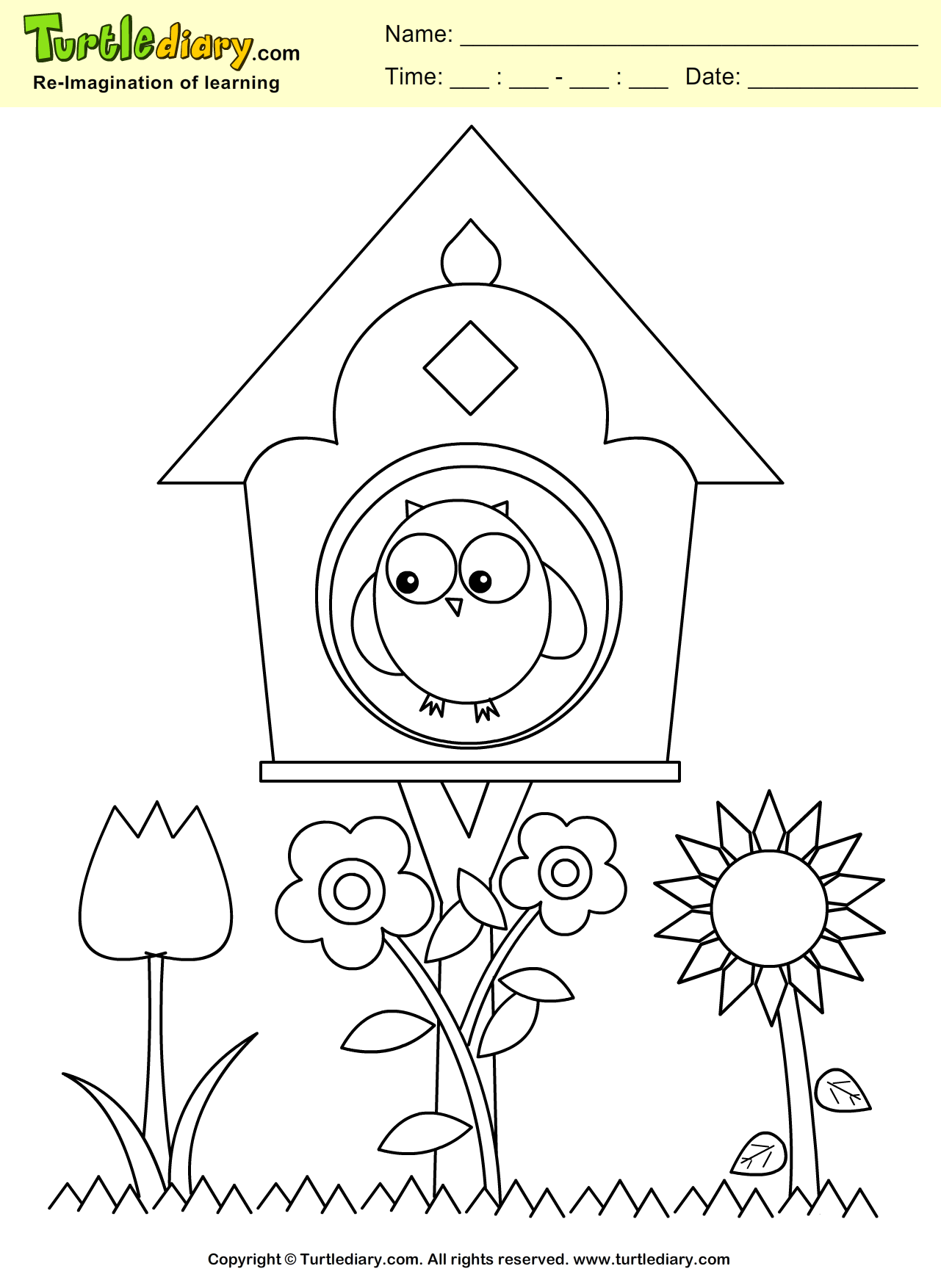 Bird house coloring sheet turtle diary