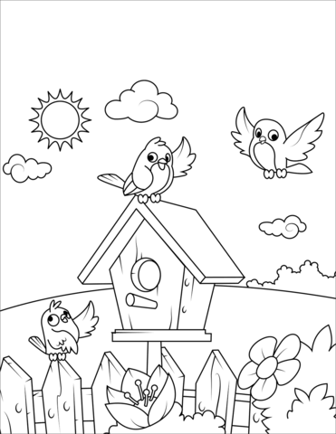 Birds near a birdhouse coloring page free printable coloring pages