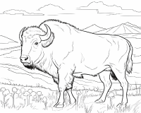 Bison pages