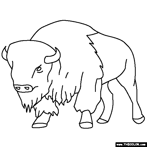 Bison coloring page
