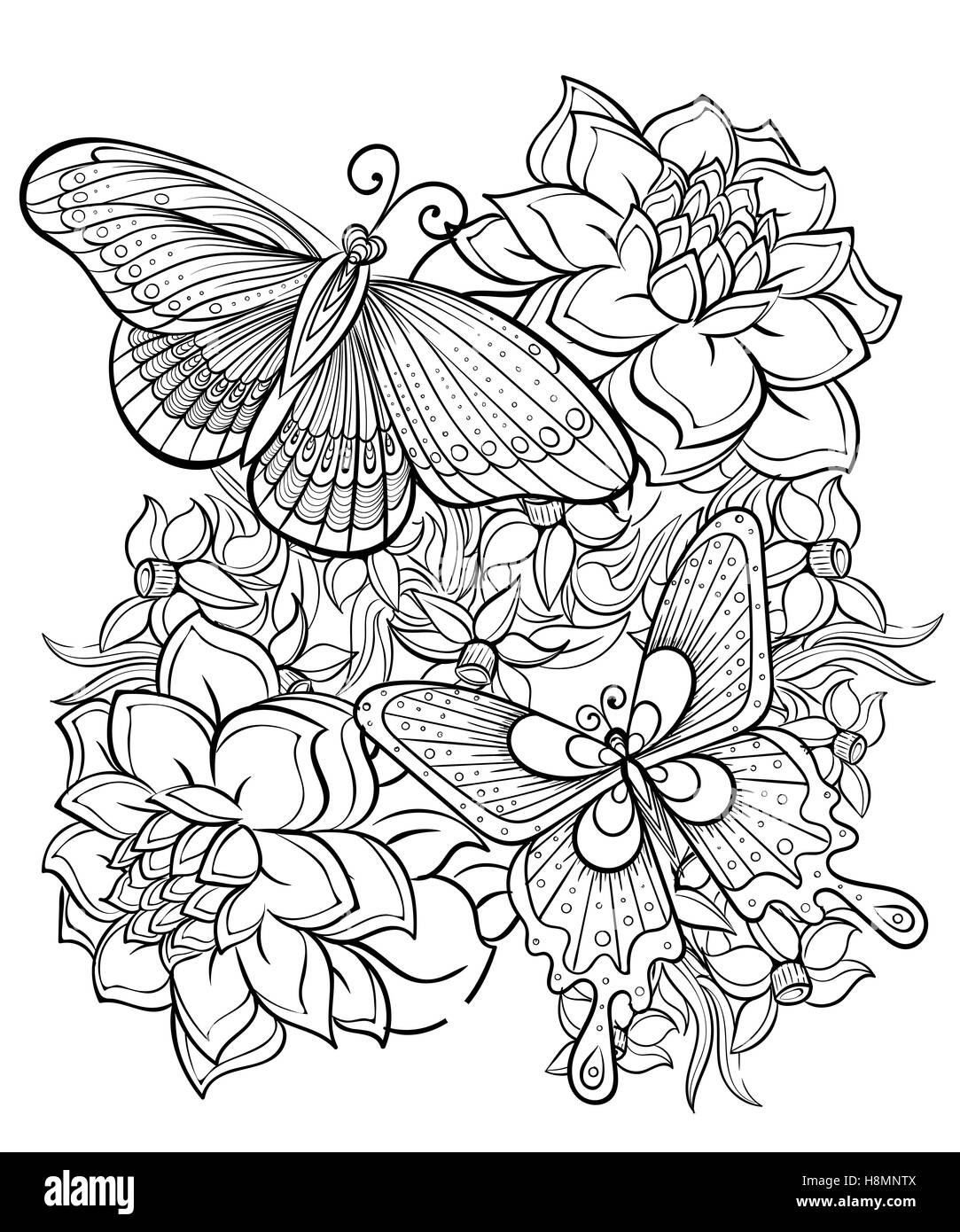 Adult coloring black and white stock photos images