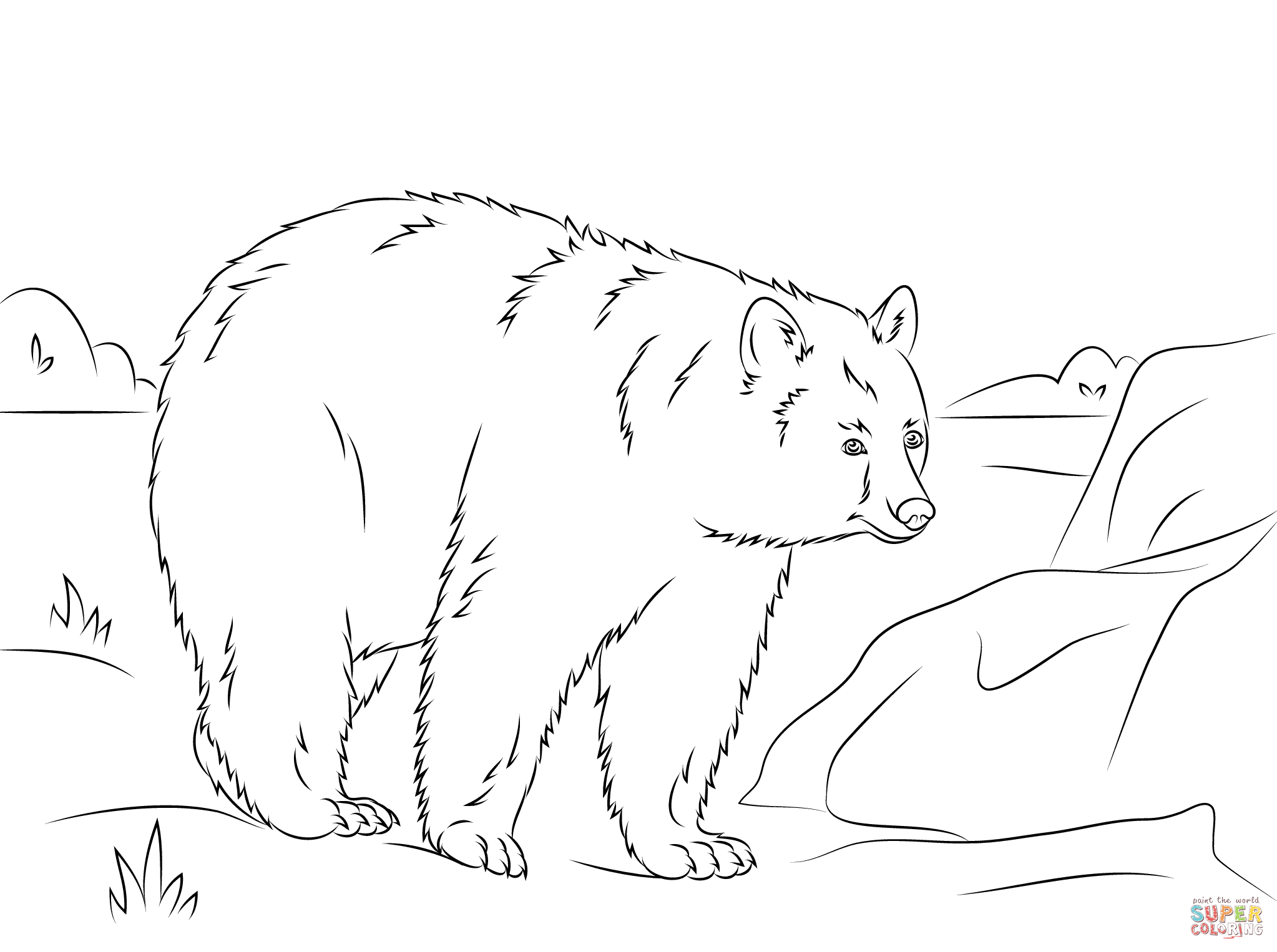 Walking american black bear coloring page free printable coloring pages
