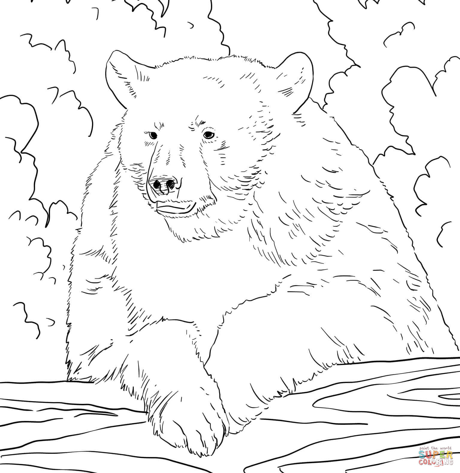 American black bear portrait coloring page free printable coloring pages