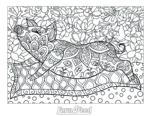 Adult coloring page