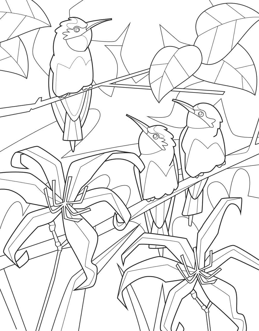Adult coloring book birds of the world
