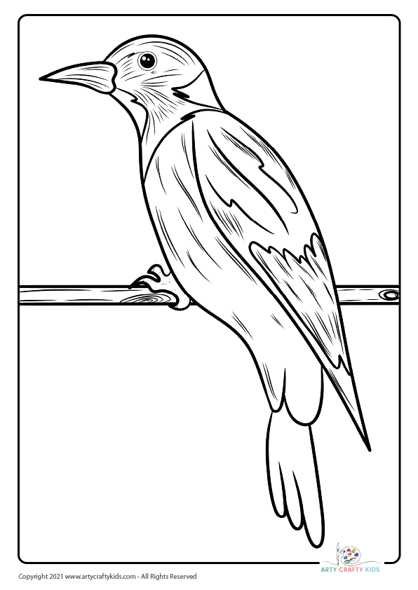 Bird coloring pages