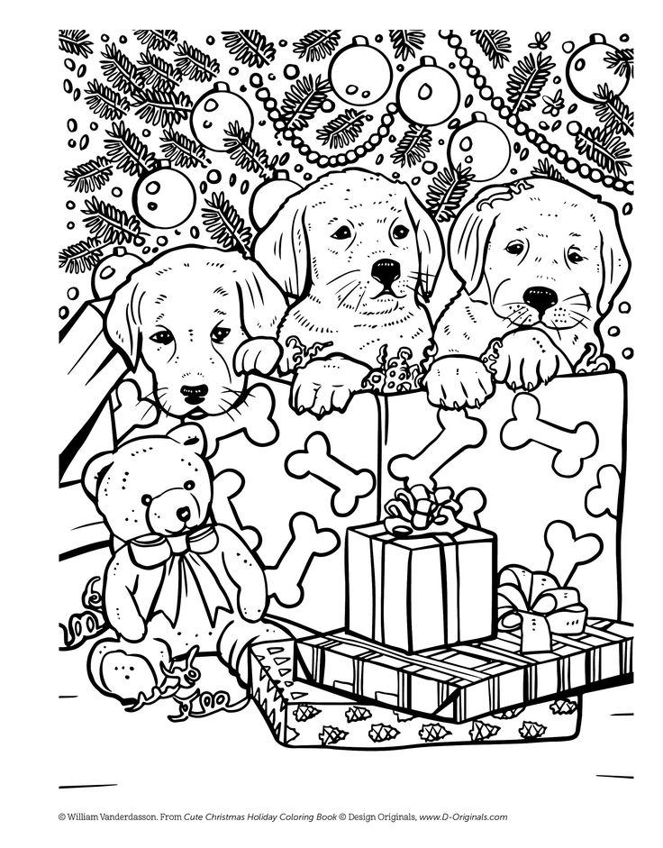 Christmas holiday coloring book for animal lovers
