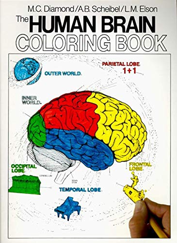The human brain loring book loring ncepts