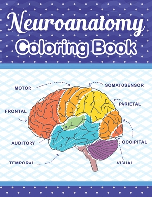 Neuroanatomy coloring book the ultimate human brain students self