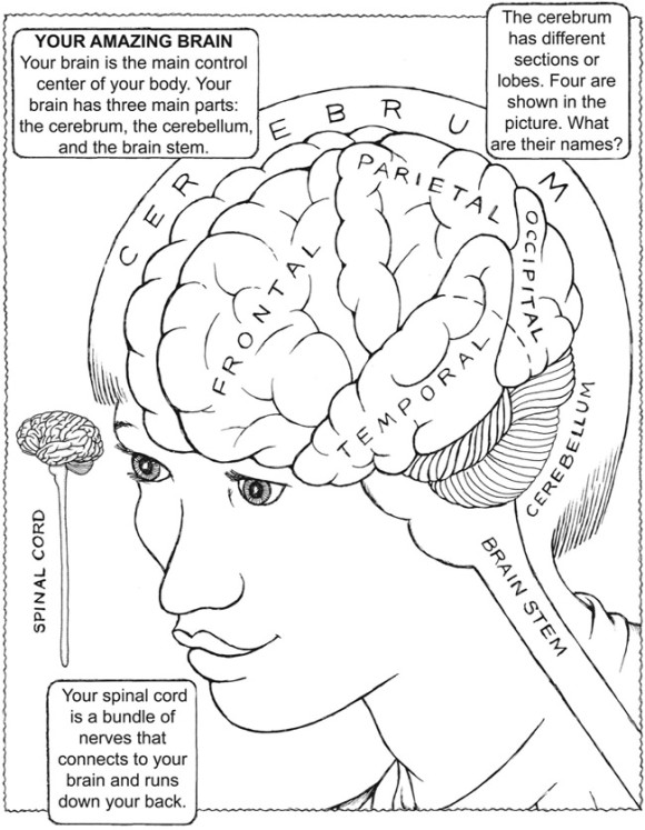 Brainweek coloring contest world campus psychology club