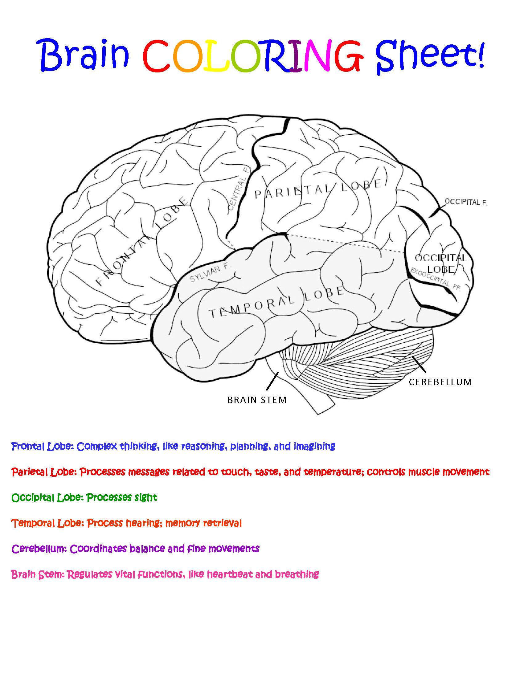 Brain coloring sheet
