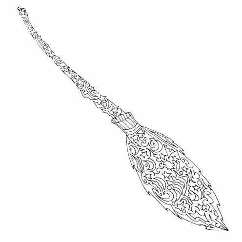 Harry potter broom