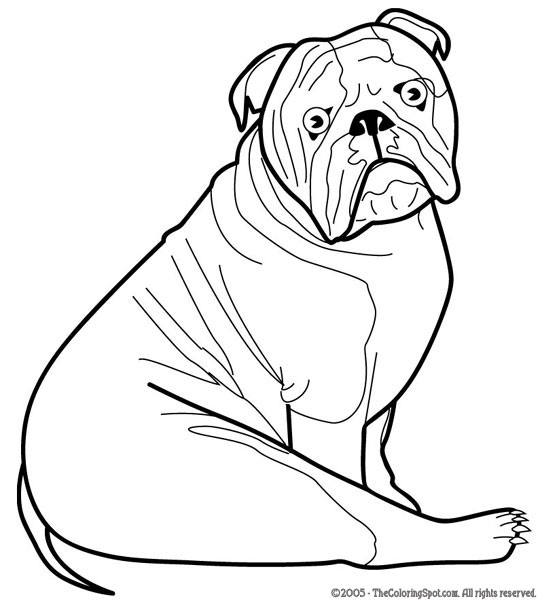 Bulldog coloring page audio stories for kids free coloring pages colouring printables