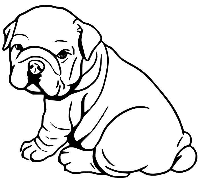 Bulldog coloring pages printable for free download