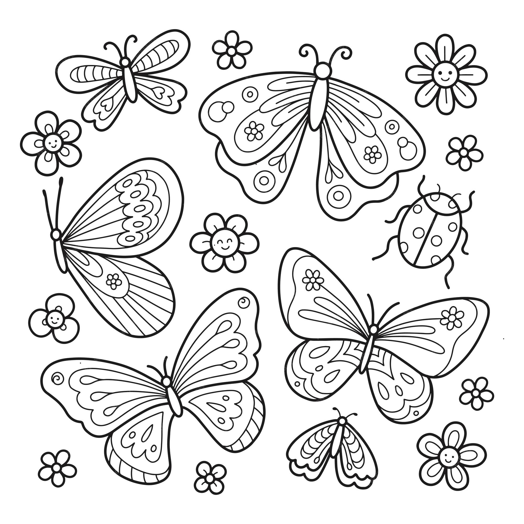 Premium vector butterfly coloring page and drawing illustration