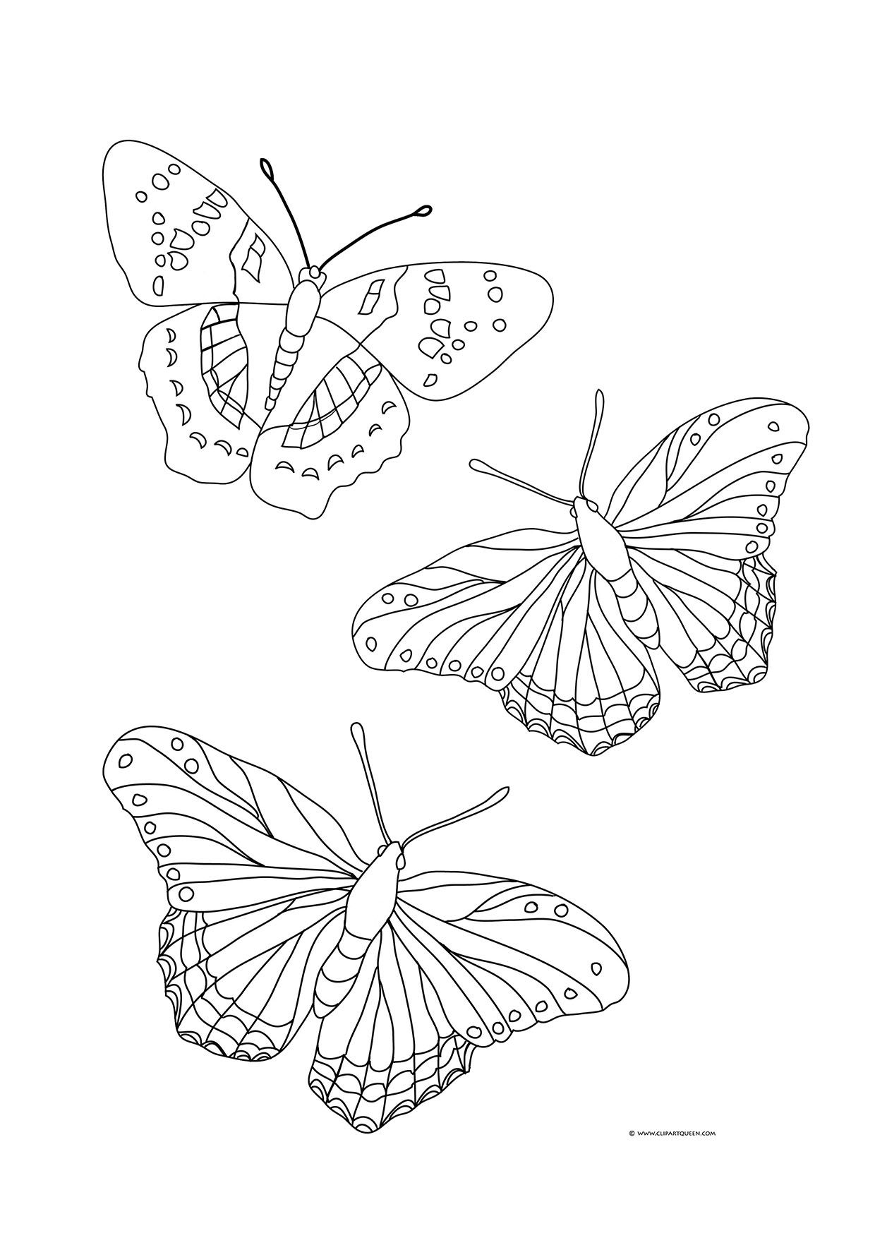 Amazing photo of butterflies coloring pages