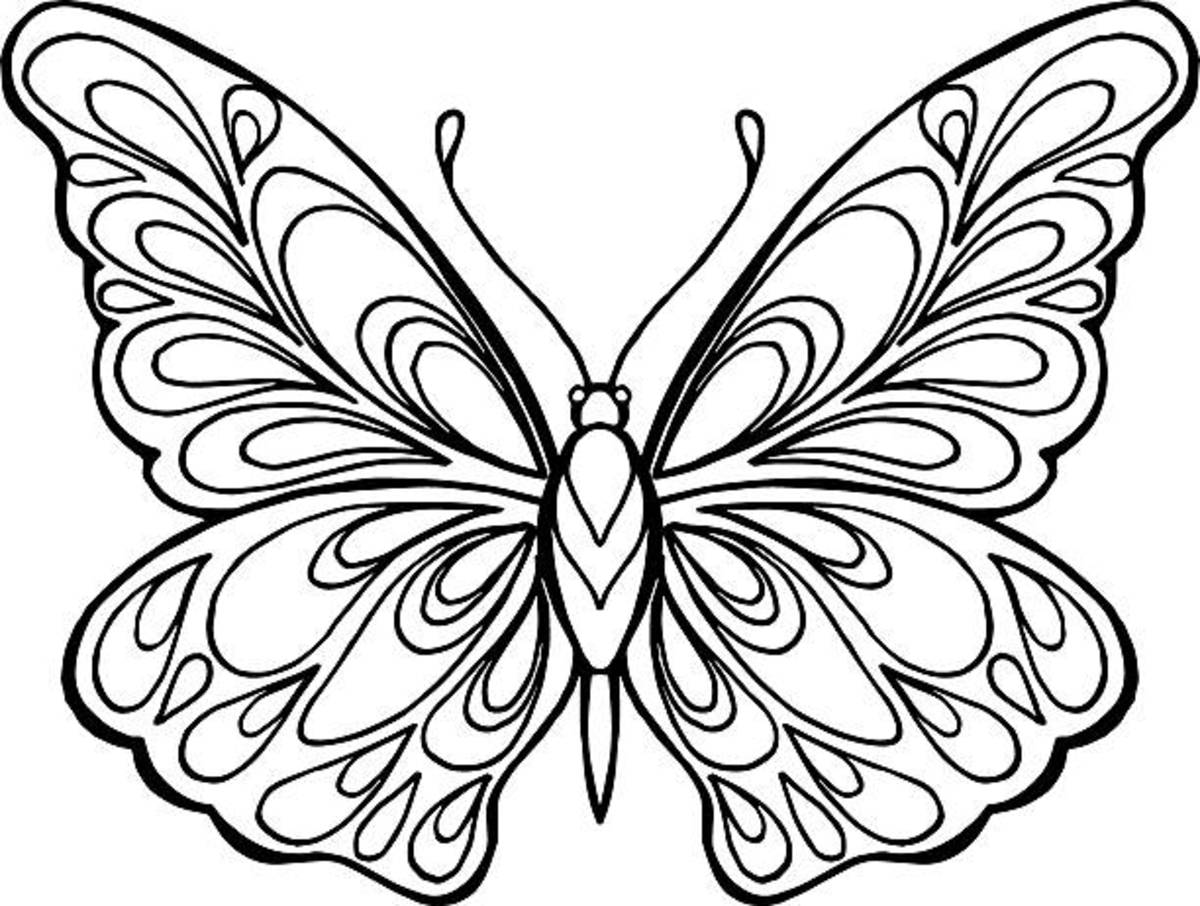 Butterfly coloring pages free printable sheets