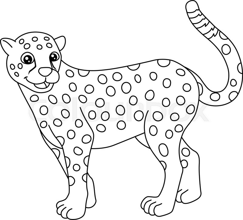 Cheetah coloring page isolated for kids stock vector