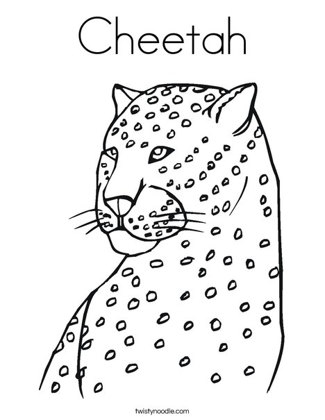 Cheetah coloring page