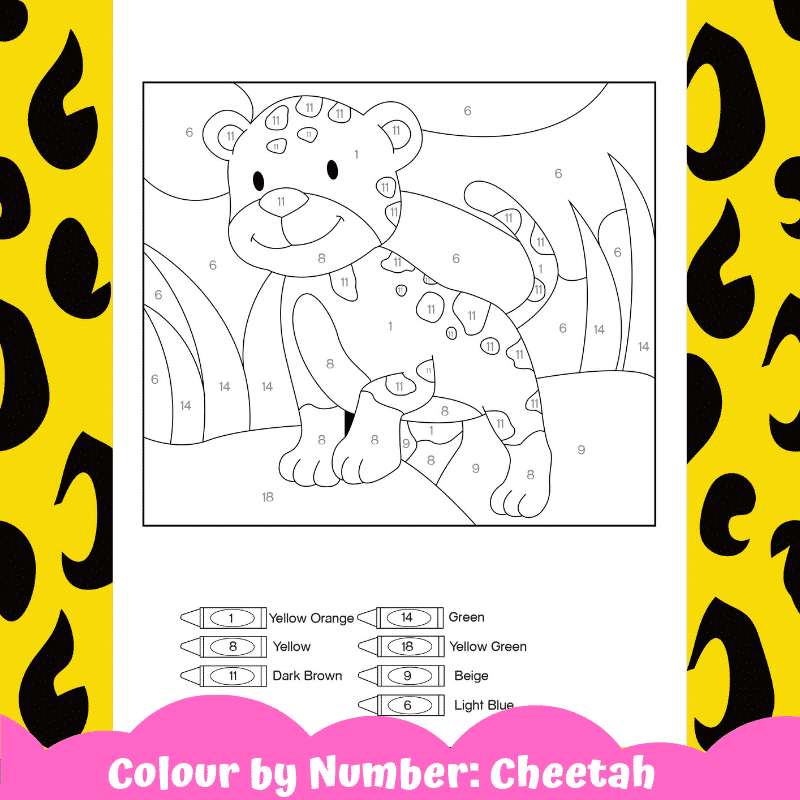 Cheetah colour by number
