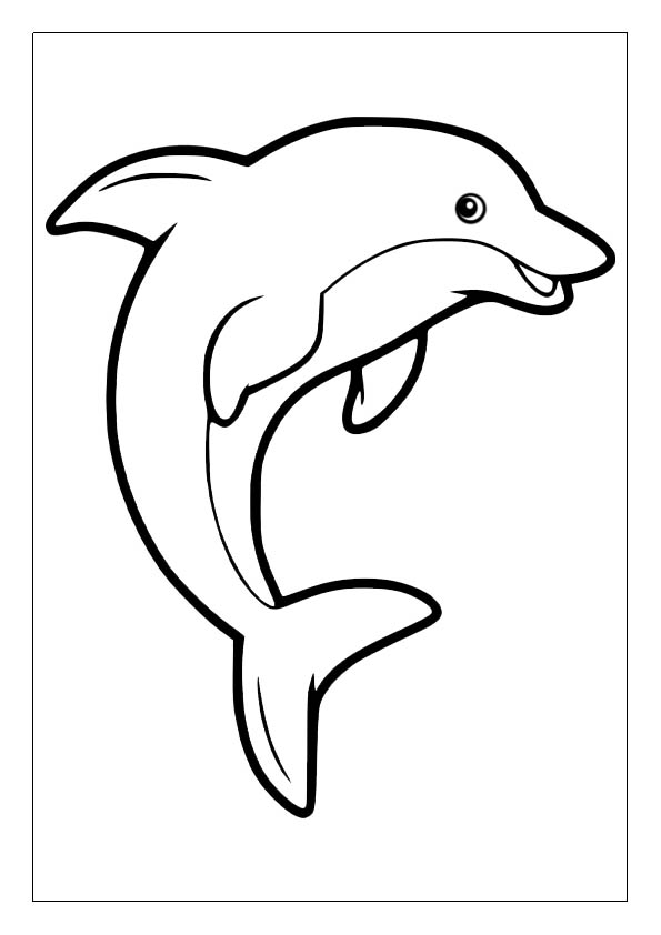 Dolphin coloring pages printable coloring sheets