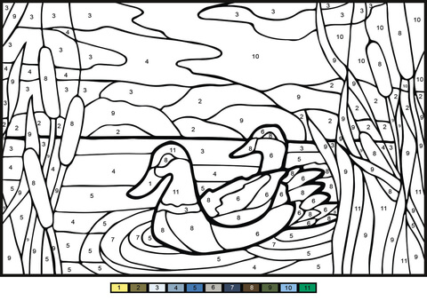 Mullard ducks color by number free printable coloring pages