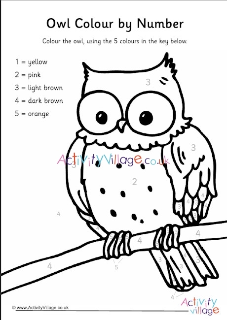 Owl lour by number
