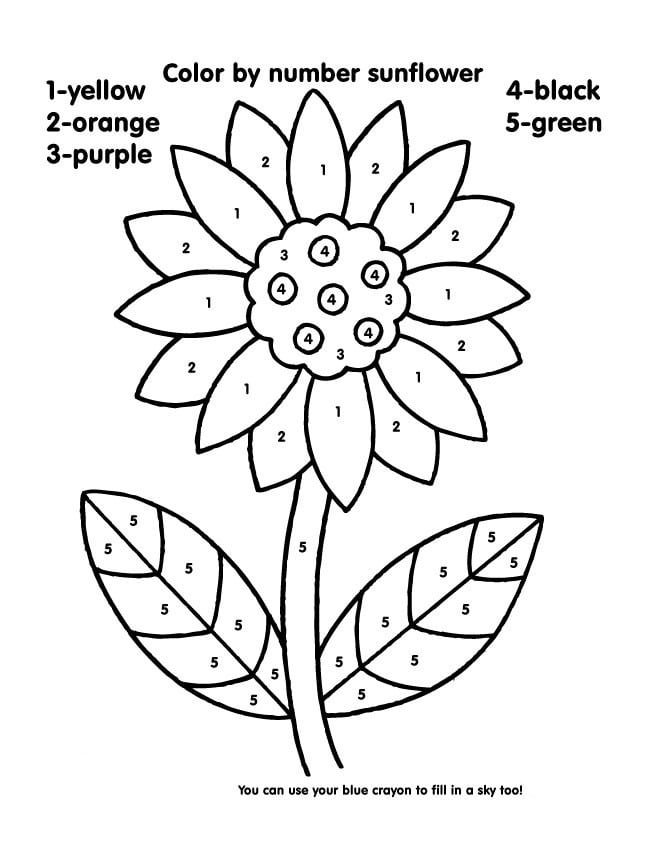 Garden plants color by number worksheets