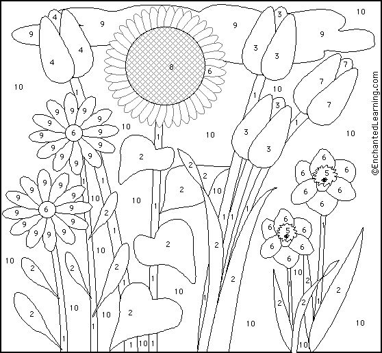 Flowers color by number