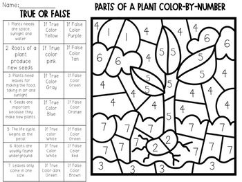 Parts of a plant color