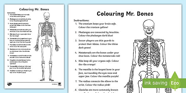 Colouring mr bones worksheet worksheet teacher made
