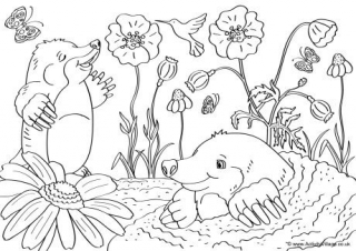 Mole louring page